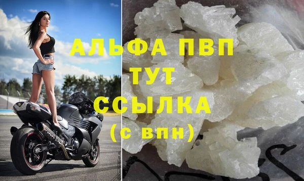 СК Белокуриха