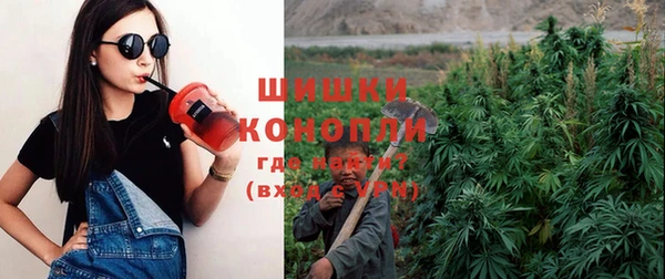 СК Белокуриха