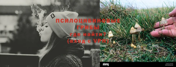 СК Белокуриха